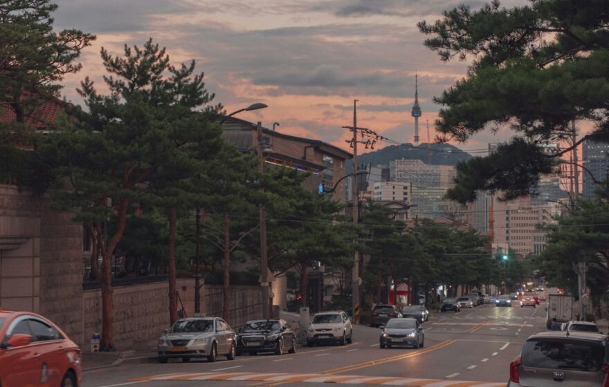 瑞草・教大・方背