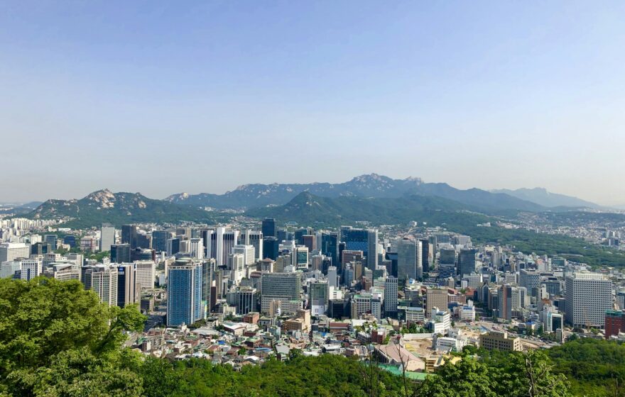新道林・九老